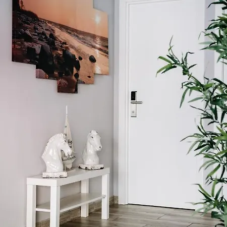 מלון Q-royal Skylounge פלאייה דה פאלמה